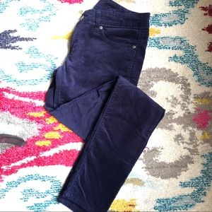Velvet Skinny Jeans - Navy Blue Gap 1969